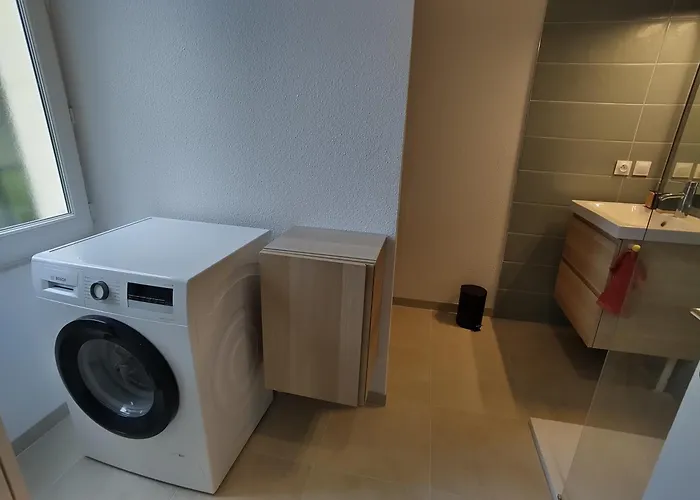 Grand Avec Jardin 公寓 布里特努