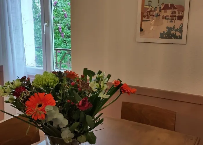 Grand Avec Jardin 公寓 *